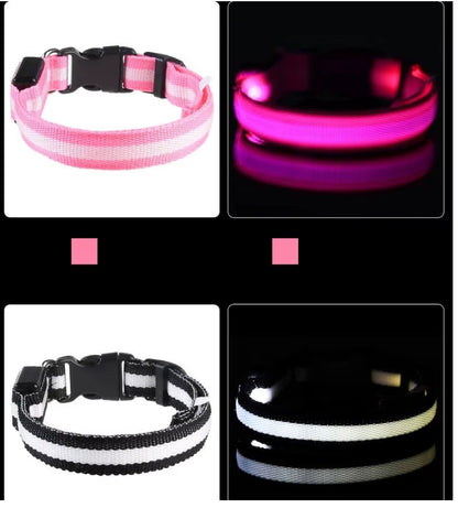 Nylon LED Night Safety Flashing Glow In The Dark Dog Leash Dogs Luminous Fluorescent Pet Dog Collar