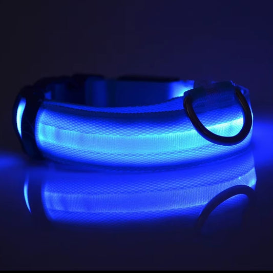 Nylon LED Night Safety Flashing Glow In The Dark Dog Leash Dogs Luminous Fluorescent Pet Dog Collar