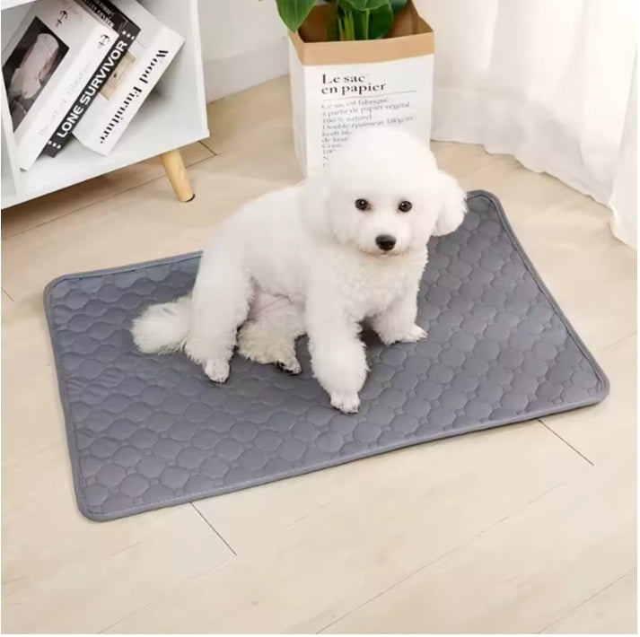 Winter Dog Pee Pad Reusable Washable Dog Urine Mat Car Seat Floor Sofa Waterproof Absorbent Puppy Cat Training Pet Supplies