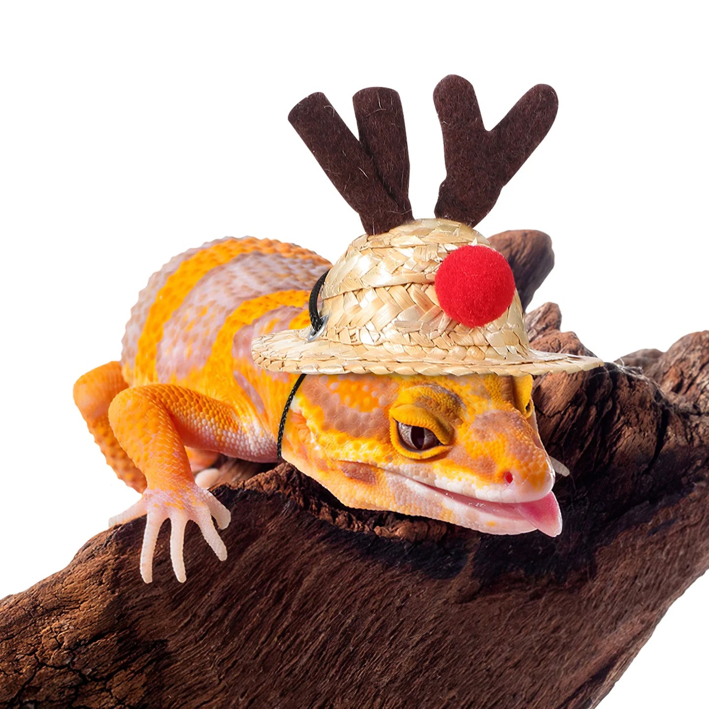 1Set Reptile Christmas Costume Hat Scarf Leash Bearded Dragon Lizard Pet Supplies Comfortable Wearable Pet Christmas Hat