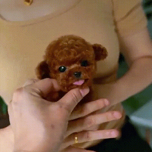 🐶Realistic Robot Puppy