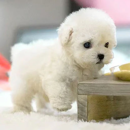 🐶Realistic Robot Puppy